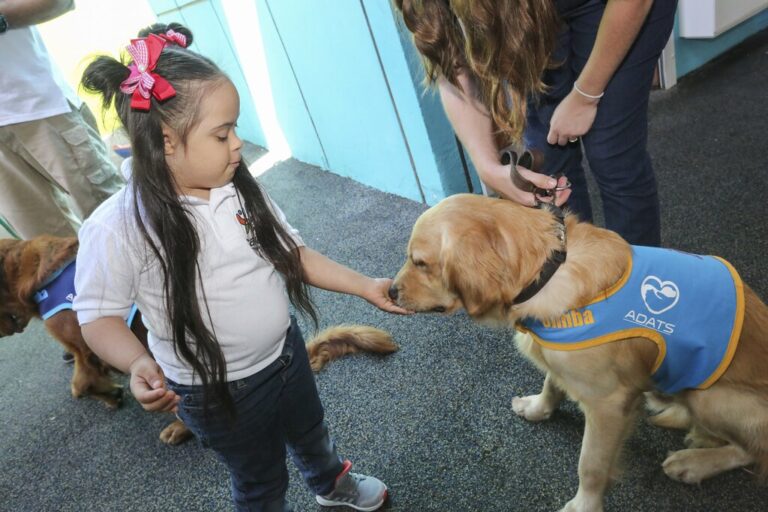 GUARDERIA DE PERROS EN ORLANDO FLORIDA