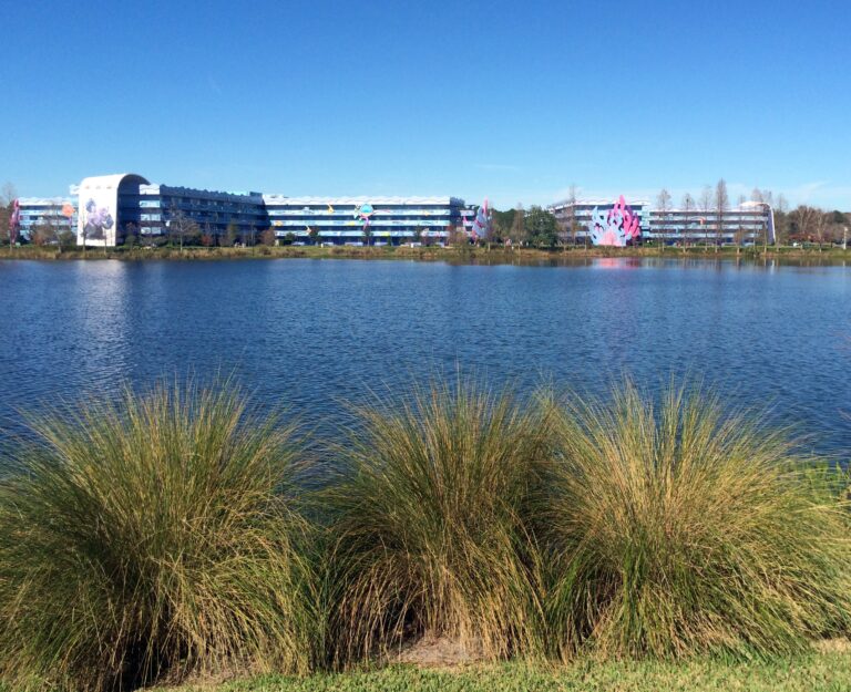 RESORT EN ORLANDO DISNEY