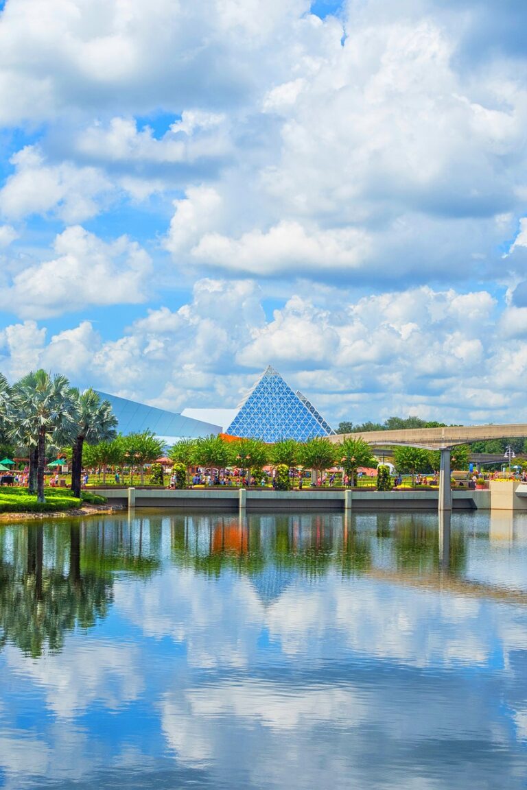 COMO SACAR LA LICENCIA EN ORLANDO FLORIDA