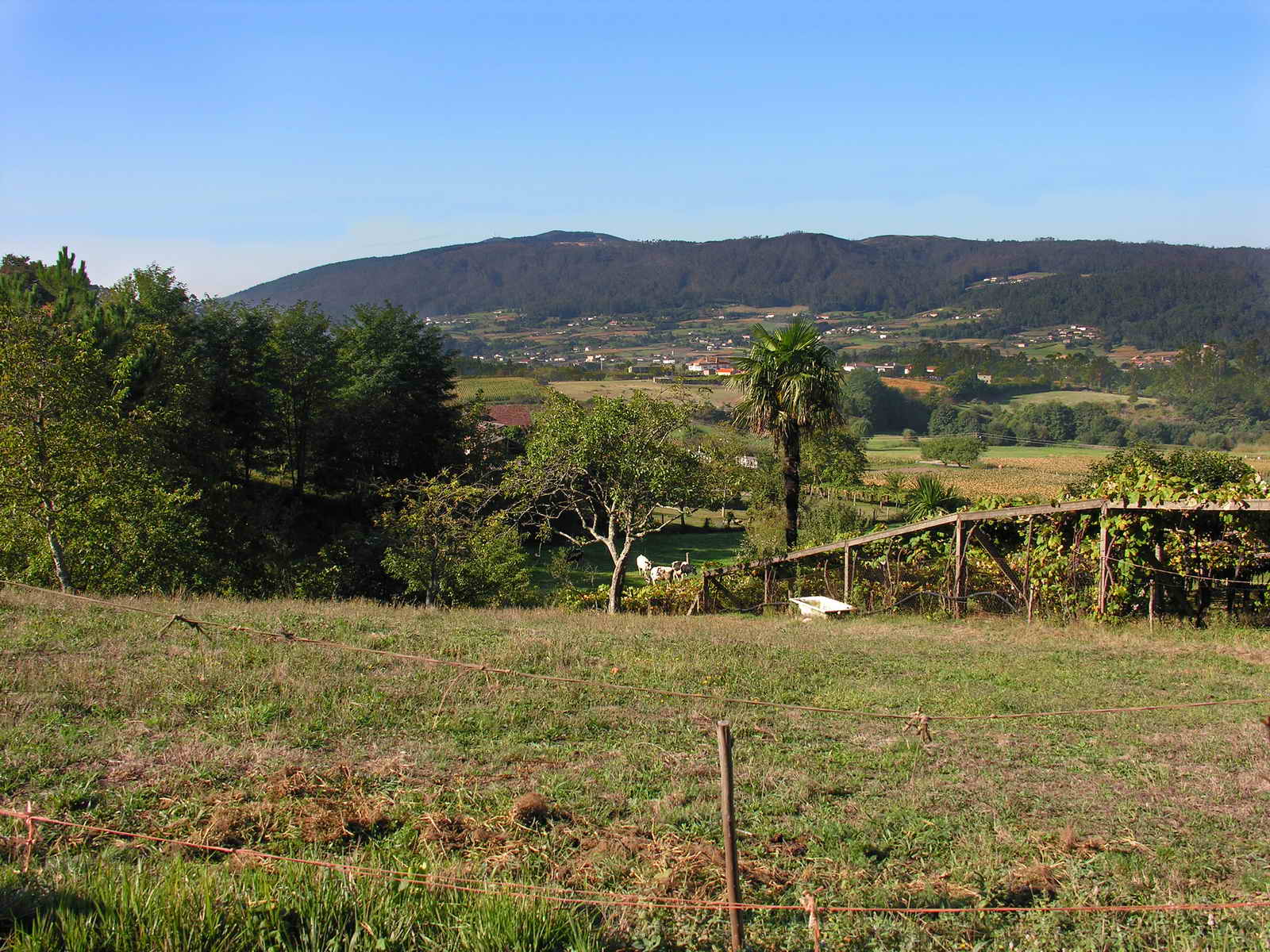 ARRENDAR AUTO EN ORLANDO