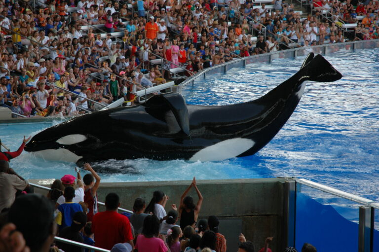 AGUAS TERMALES EN ORLANDO FLORIDA