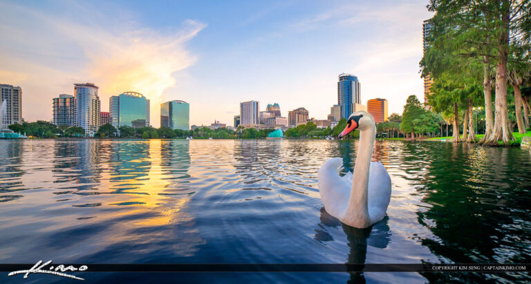 HOTEL HYATT EN ORLANDO FLORIDA