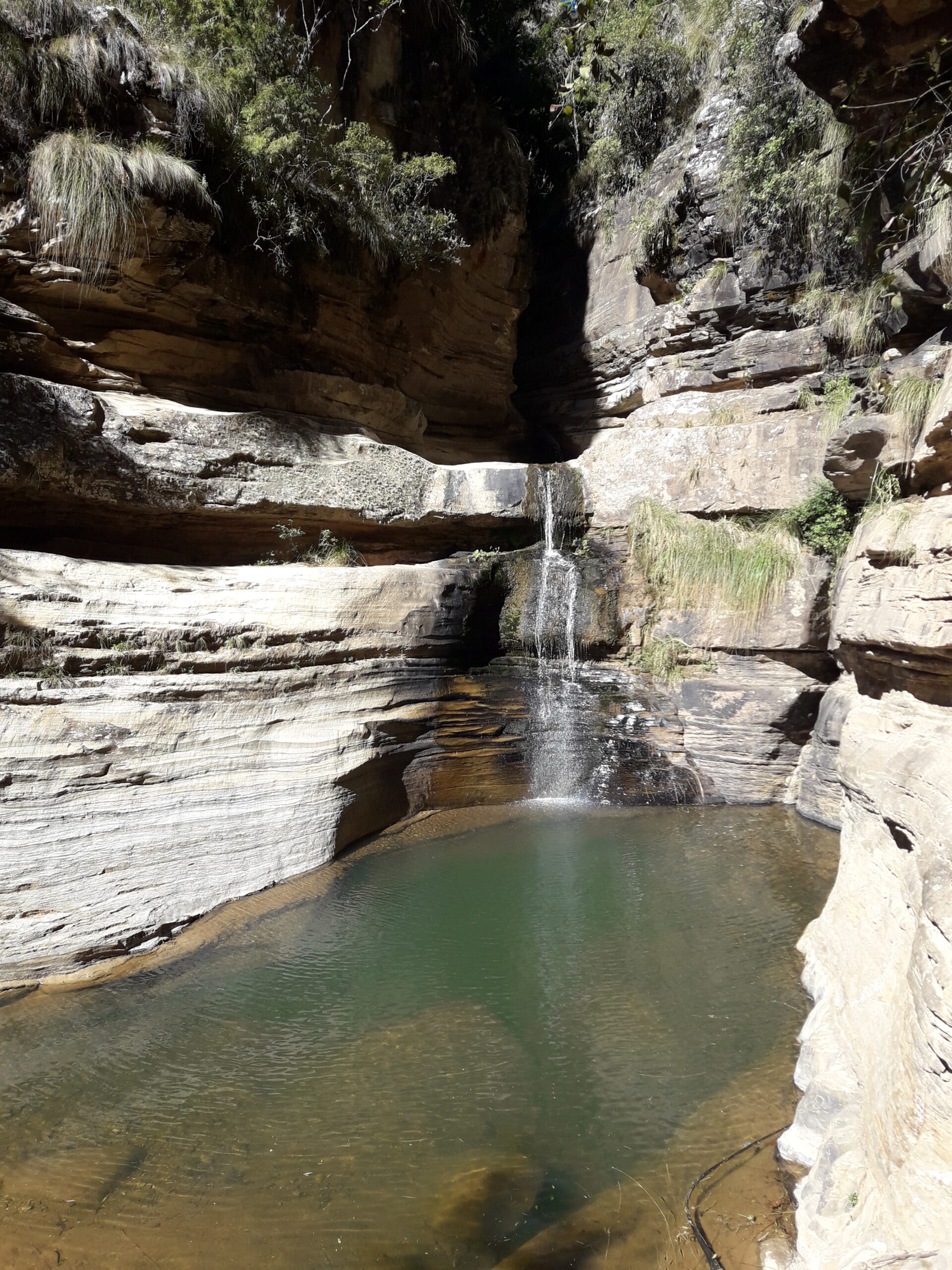 CLASES DE MANEJO EN ORLANDO FLORIDA