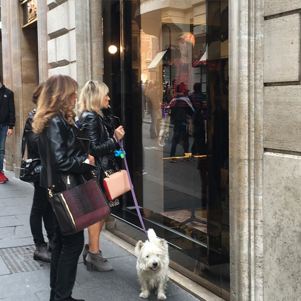 TIENDA GUCCI EN ORLANDO FLORIDA