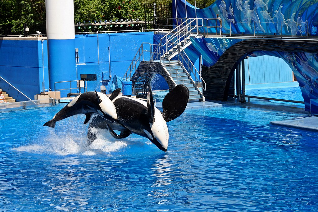 CARROS DE VENTA EN ORLANDO FLORIDA