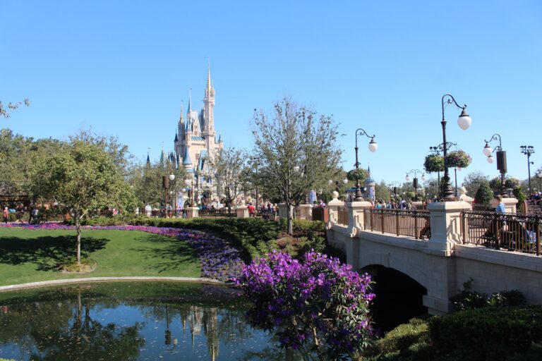 ARREGLOS DE FLORES EN ORLANDO