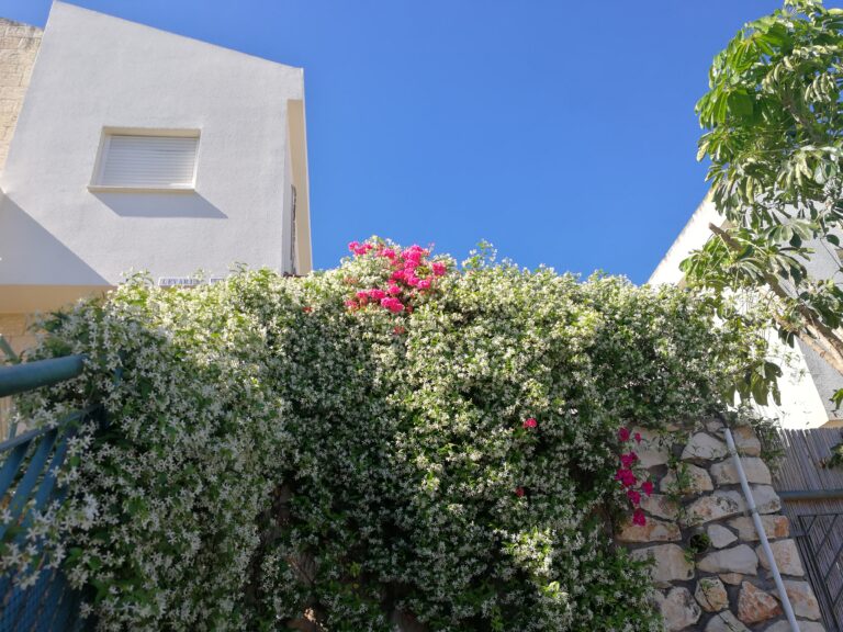 ALQUILER DE APARTAMENTOS VACACIONALES EN ORLANDO FLORIDA