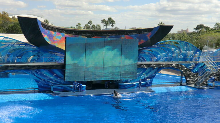 HOTELES BARATOS EN ORLANDO FLORIDA CERCA A DISNEY