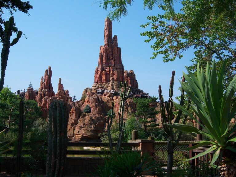 CUAL ES EL MEJOR PARQUE DE DISNEY EN ORLANDO