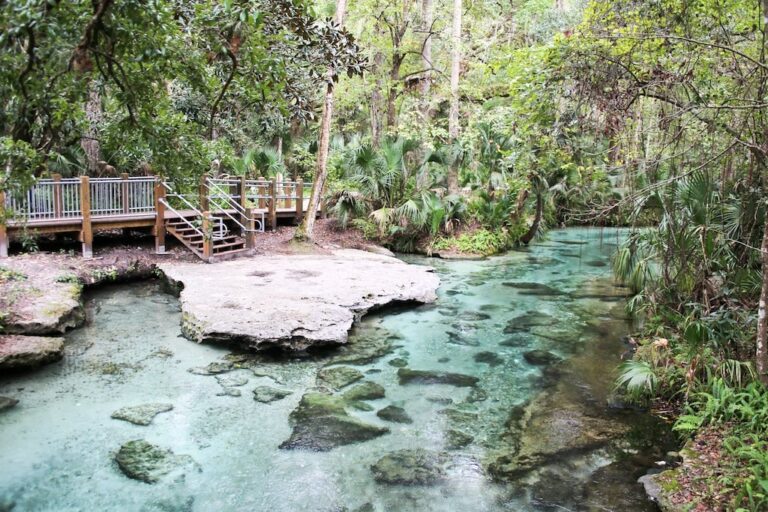 ATRACCIONES TURISTICAS EN ORLANDO FLORIDA