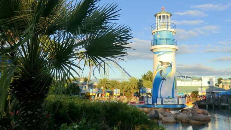 JUNKER EN ORLANDO FLORIDA