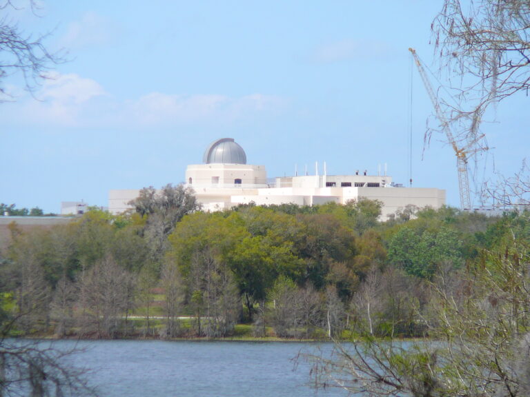 BRINCA BRINCA EN ORLANDO